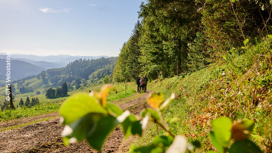 Tourenvielfalt